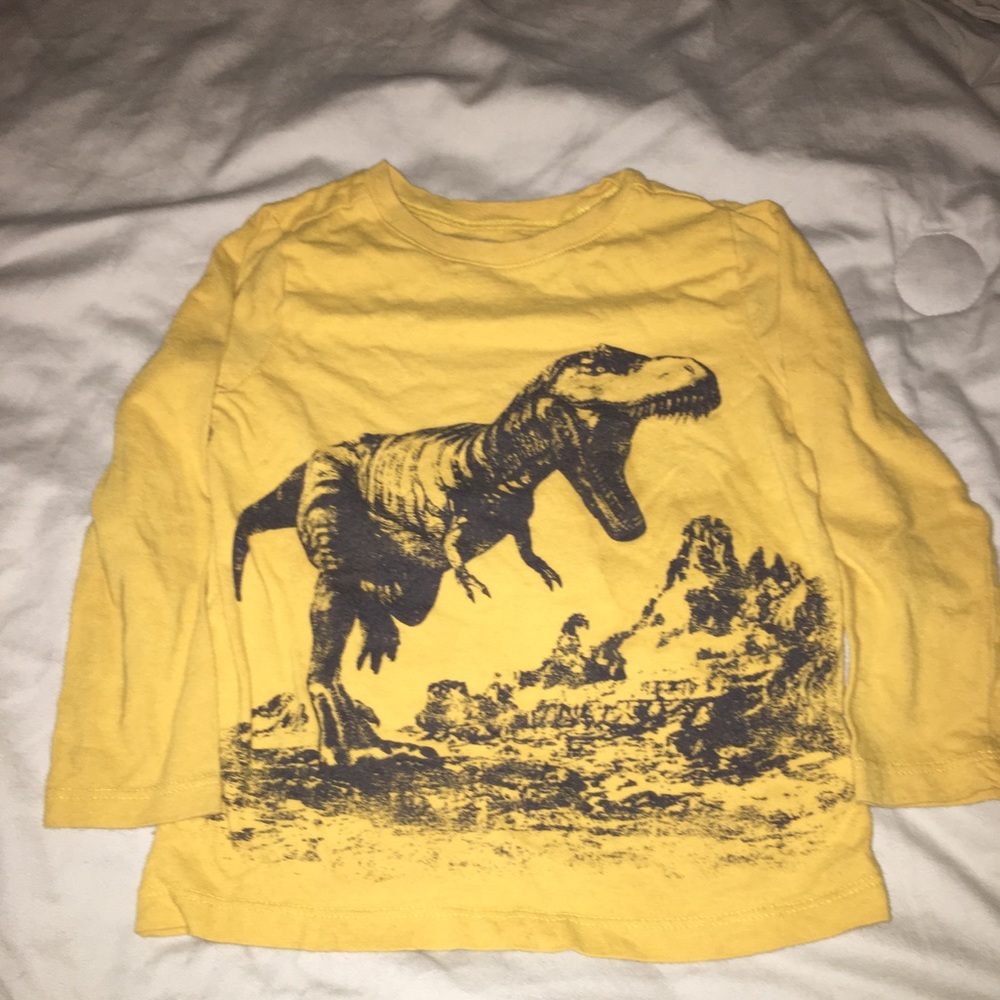 Dino tee. 4t. Long sleeved