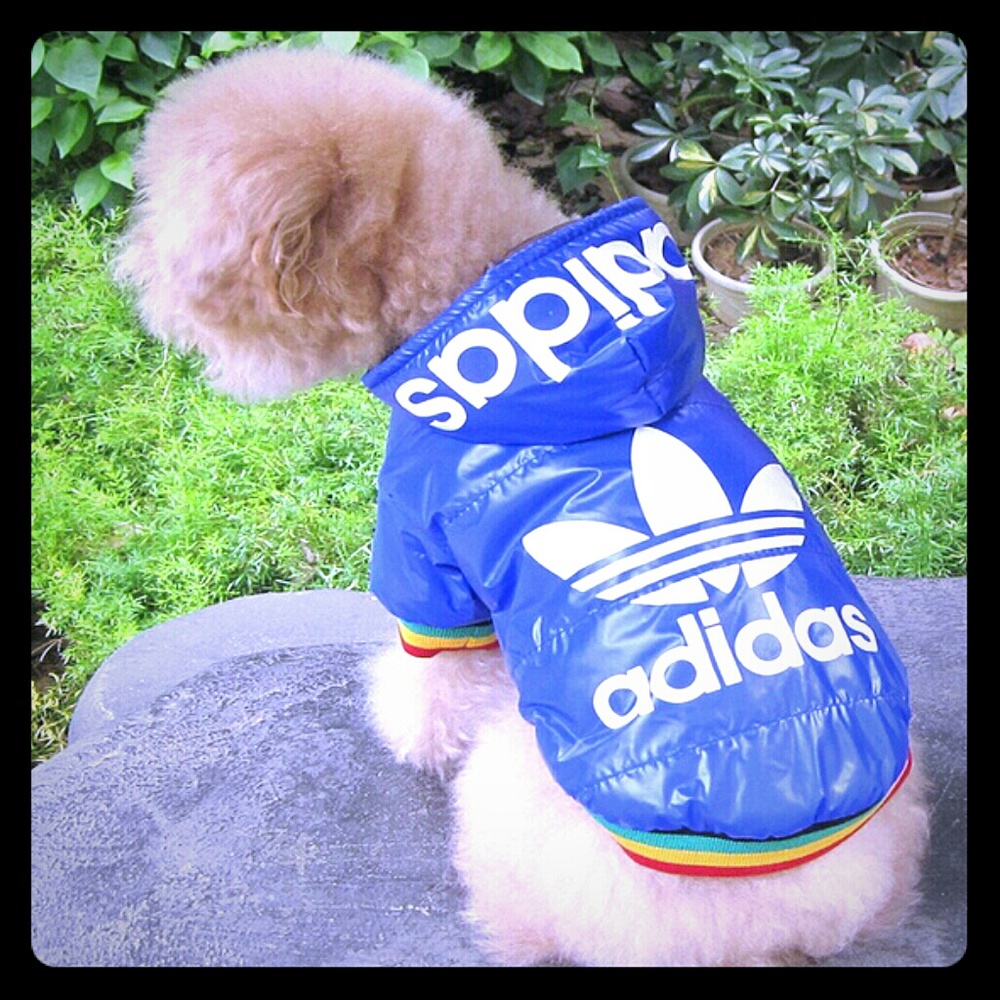 Dog jacket