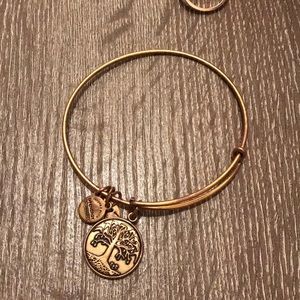 Alex and Ani