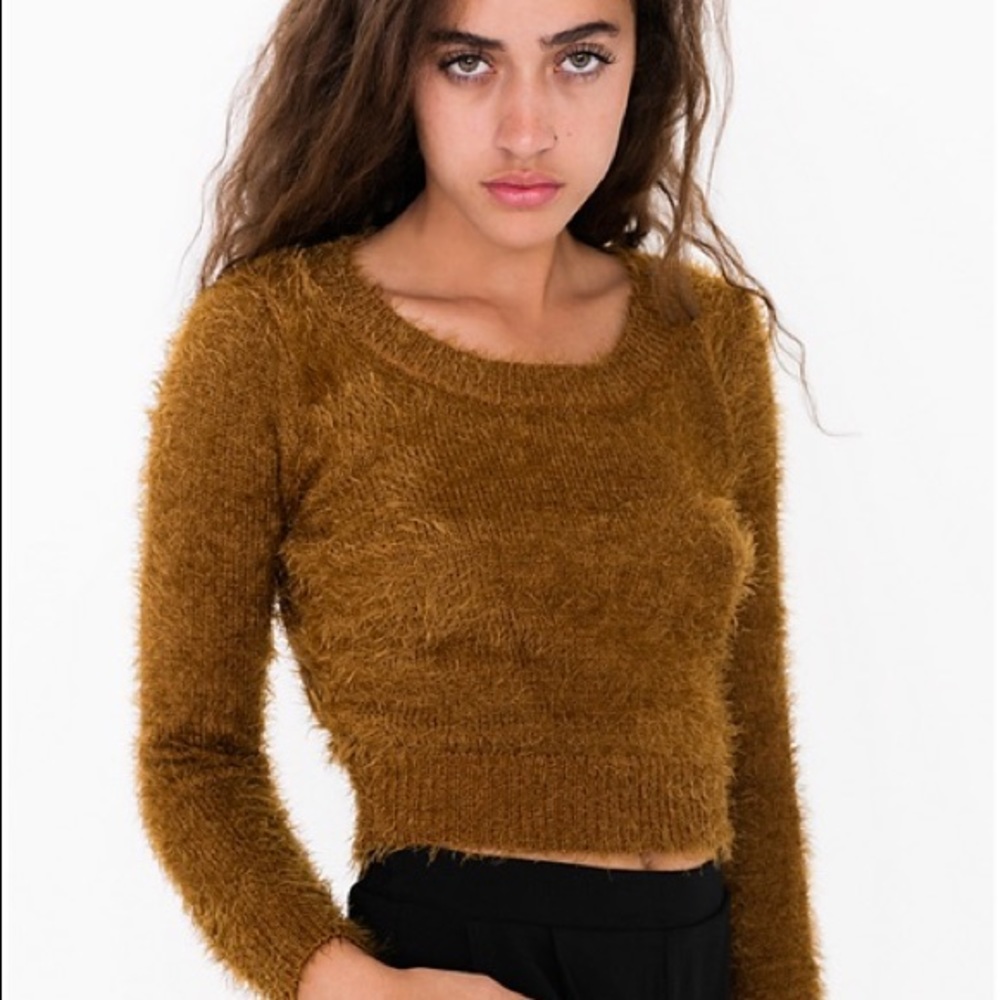 AA Cropped Fuzzy Sweater