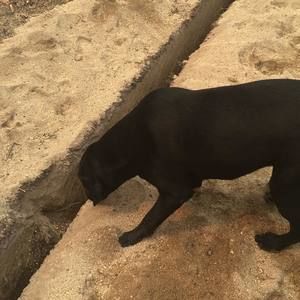 Meet your Posher, Jesse