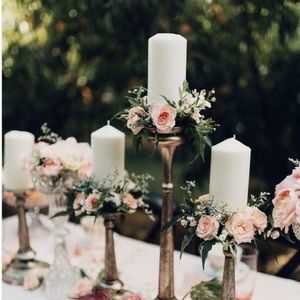 Meet your Posher, Ziggy