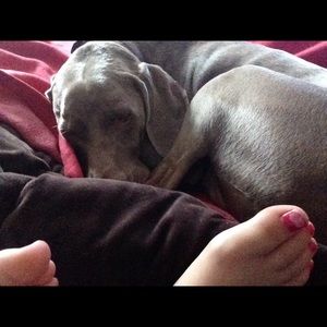 Meet your Posher, Mike