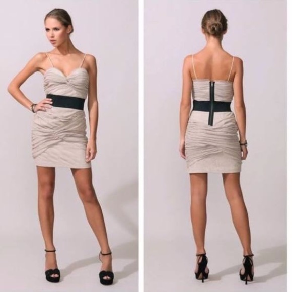 🔥 Foley and Corinna Brown Ruched Tulle Dress - Picture 3 of 10