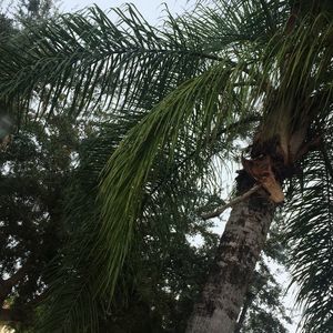 Meet your Posher, Dillon