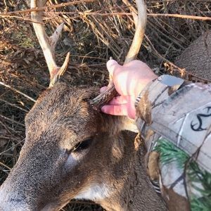 Meet your Posher, Wes