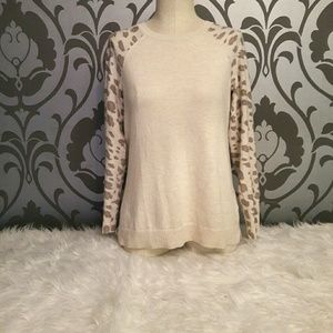 Banana Republic Knitted Raglan Sweater