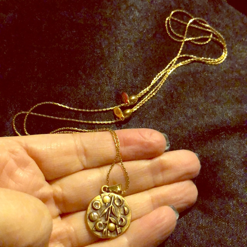 Alex & Ani - gold slide necklace “Willow”