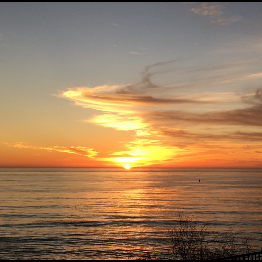 Meet your Posher, Jade