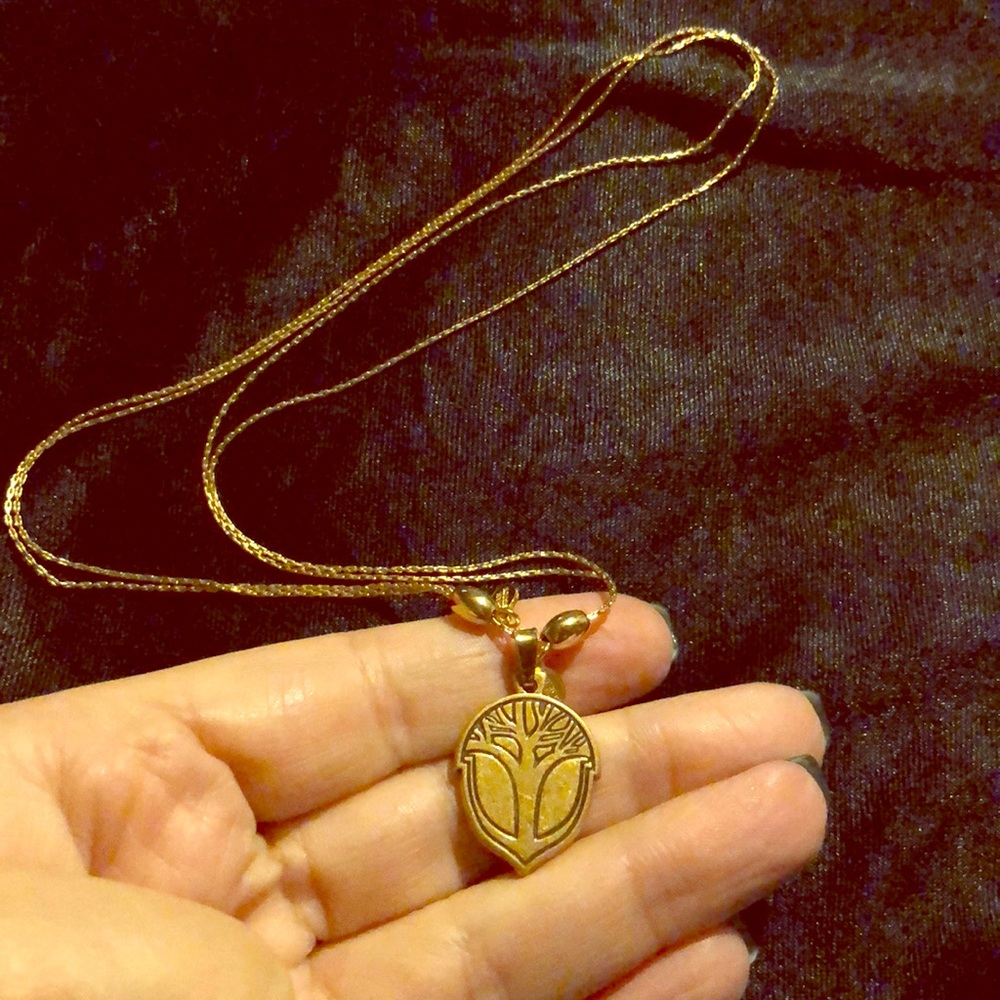 Alex & Ani - gold slide necklace 2015