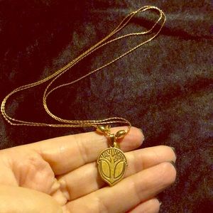 Alex & Ani - gold slide necklace 2015