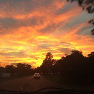 Meet your Posher, Vincent