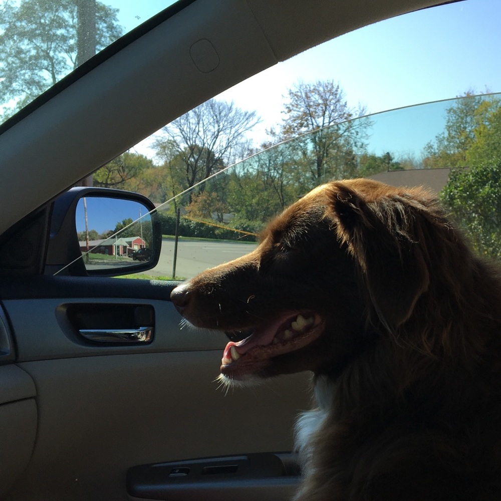 Meet your Posher, Courtney