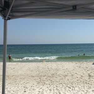 Meet your Posher, Philip