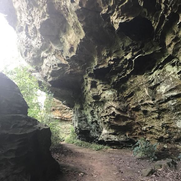 Meet your Posher, Anne - Picture 1 of 1