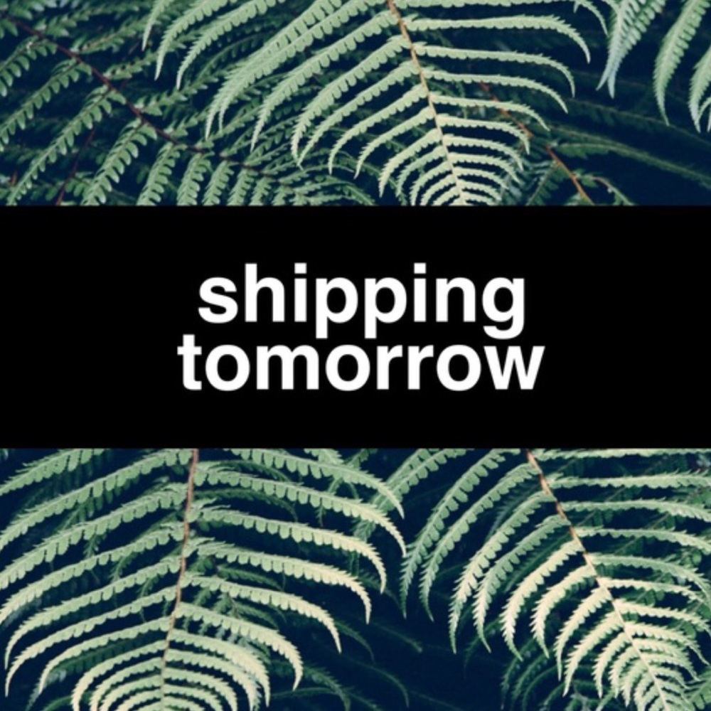 SHIPPING TOMORROW!!