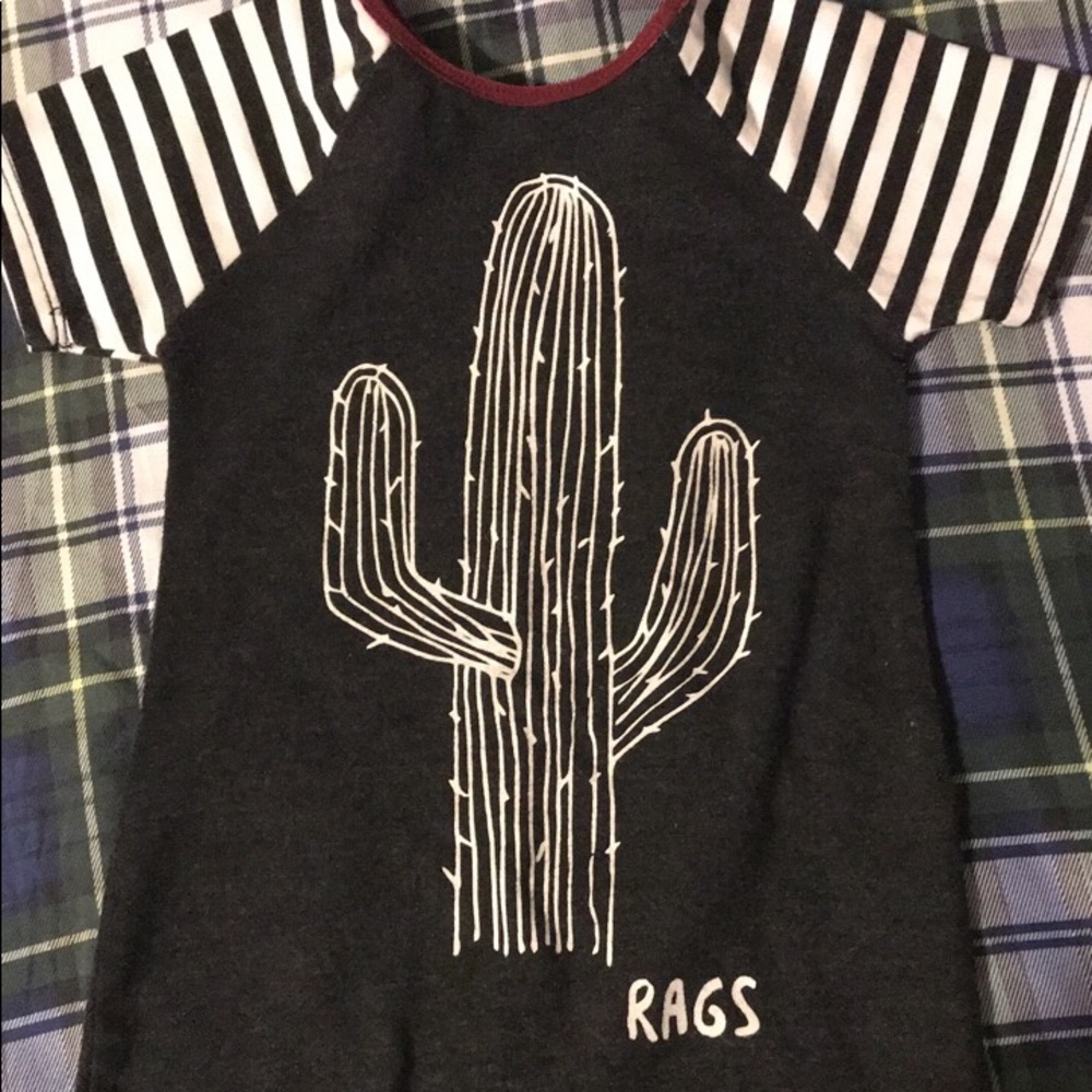Rag to Raches Cactus