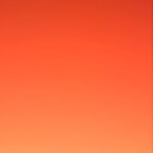 Meet your Posher, Evalynn