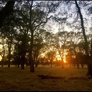 Meet your Posher, Roohani