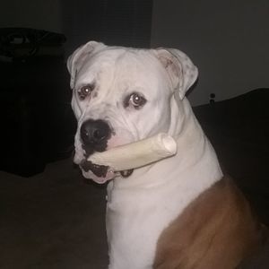 Meet your Posher, Rosemarie