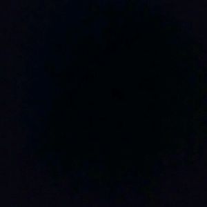 Meet your Posher, Dennis