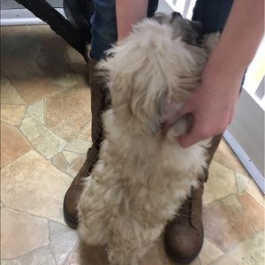 Meet your Posher, Esther