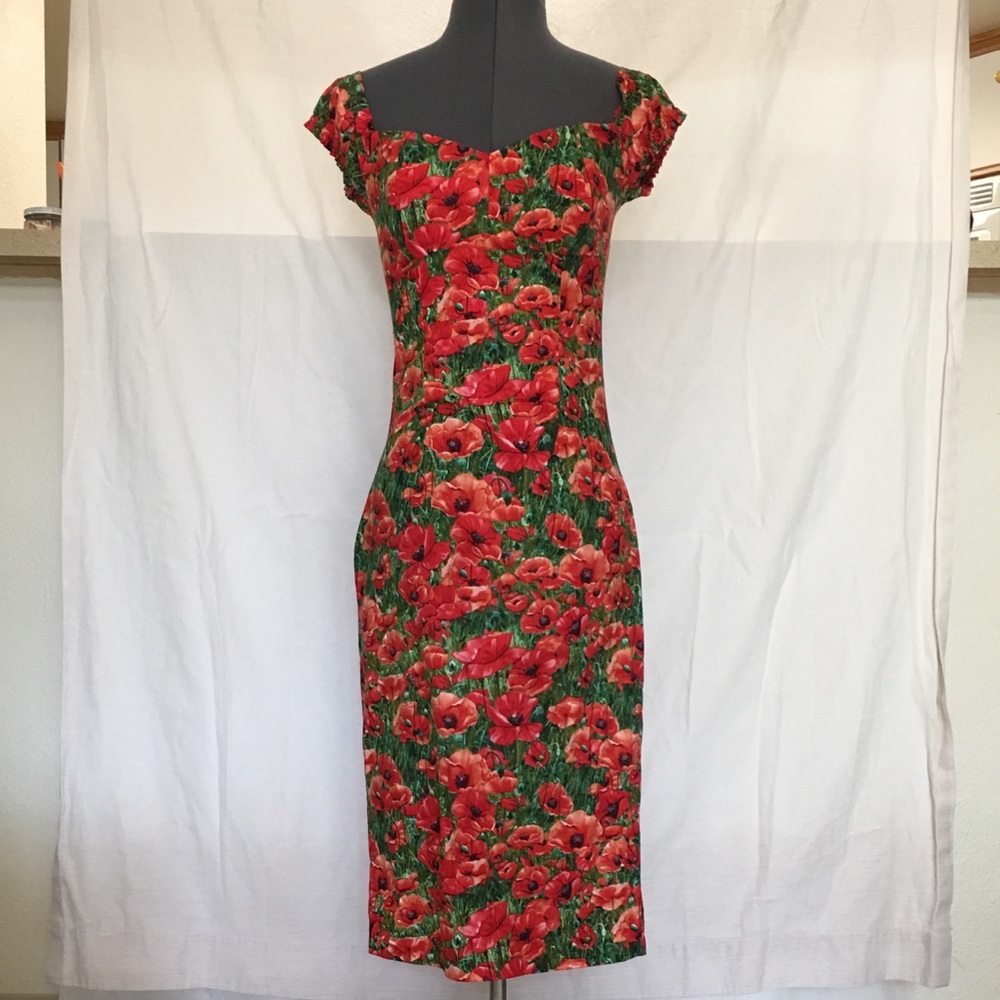 Bernie Dexter Scarlett dress in poppy print