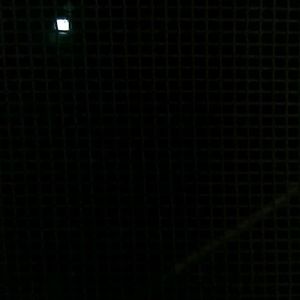 Meet your Posher, Genaro