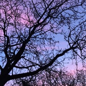 Meet your Posher, Kiara