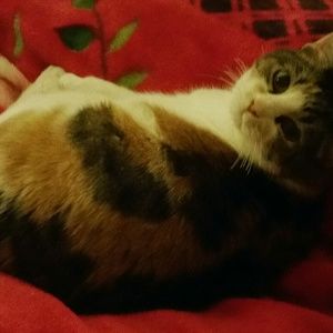 Meet your Posher, Vivian