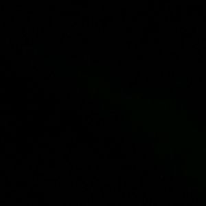 Meet your Posher, Cece