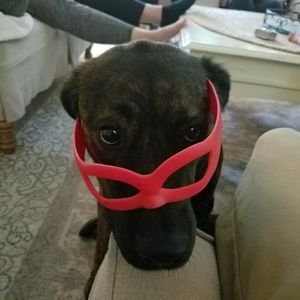 Meet your Posher, Justin