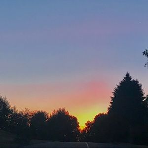 Meet your Posher, Simon