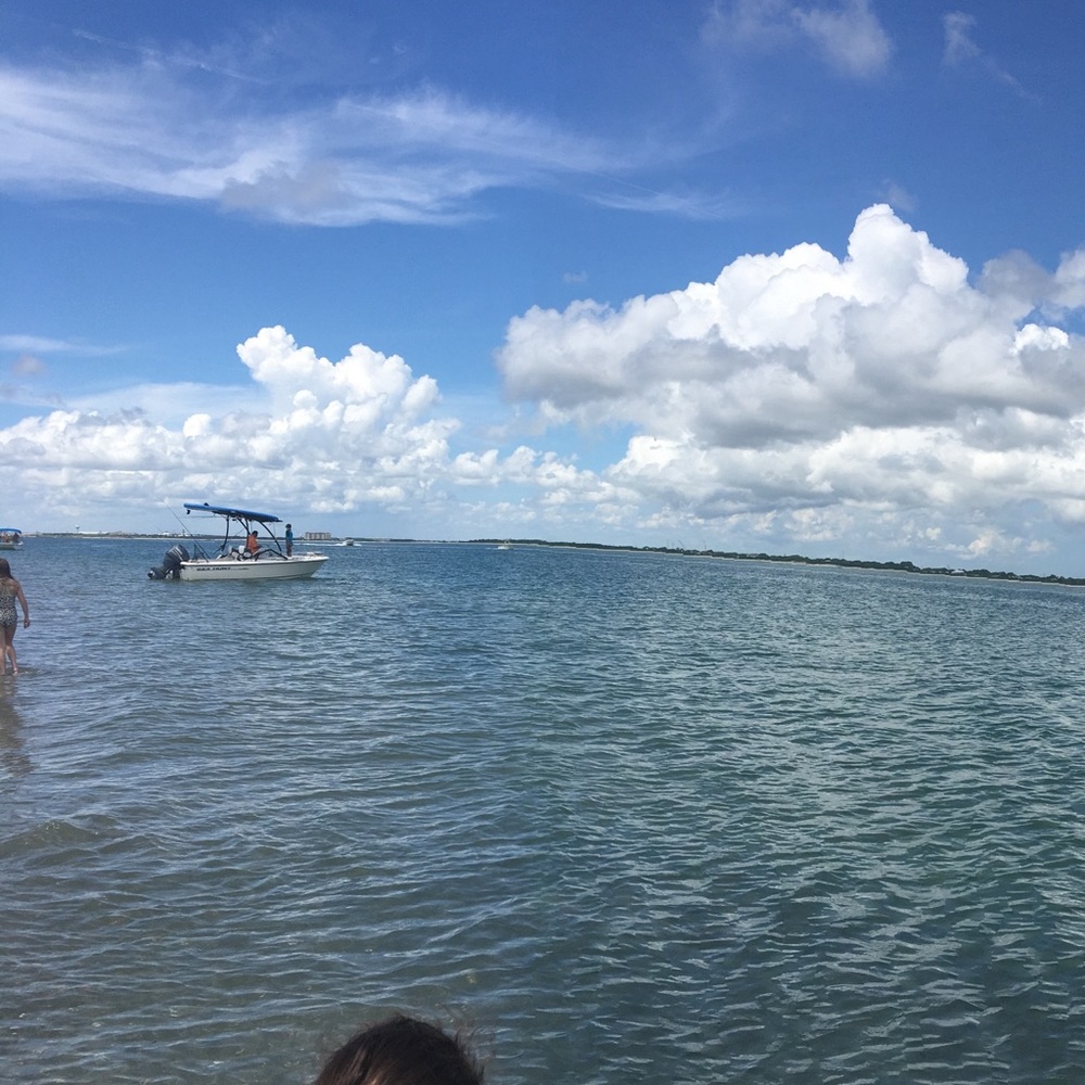 Meet your Posher, Lisa