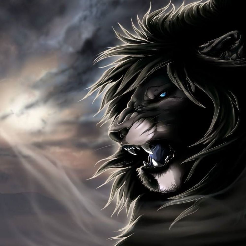 Meet your Posher, Garrett