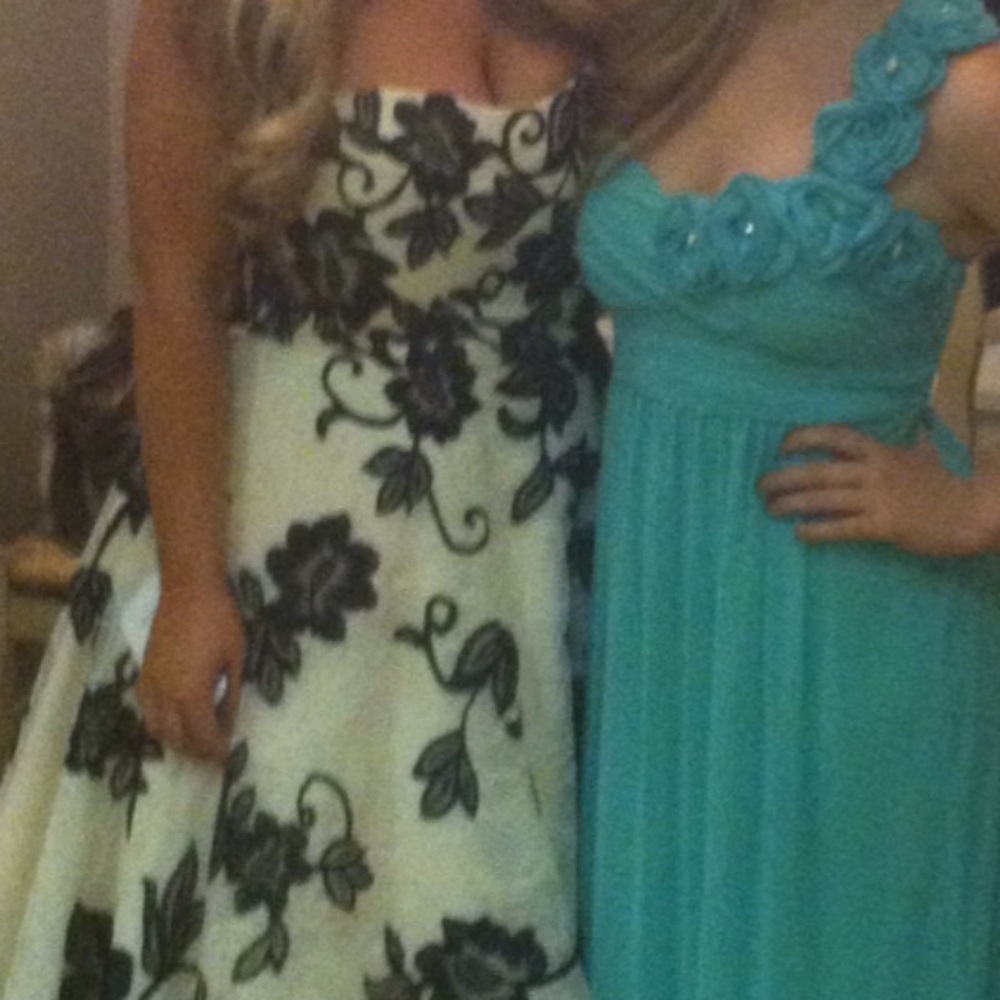 Lovely pastel green floor length chiffon.