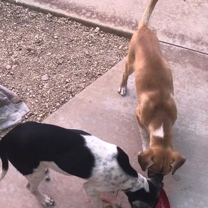 Meet your Posher, Gaby