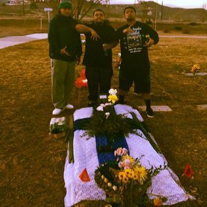 Meet your Posher, Tino