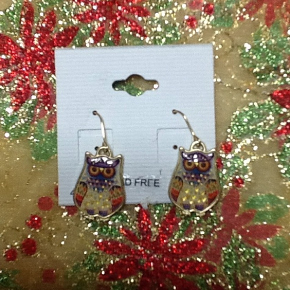 OWL Design Dangle Earrings NEW