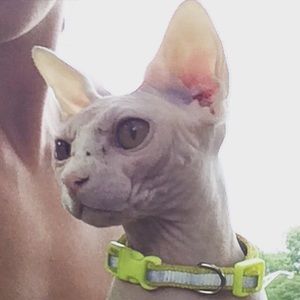 Meet your Posher, Marcella