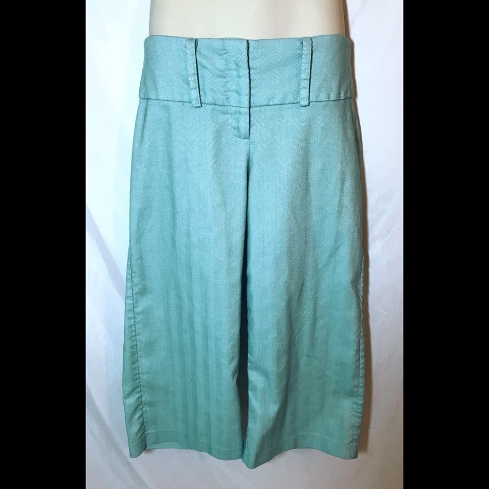Light teal wide legged Capri with pinstripes