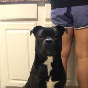 Meet your Posher, Iben