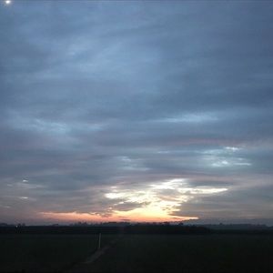 Meet your Posher, Dylan