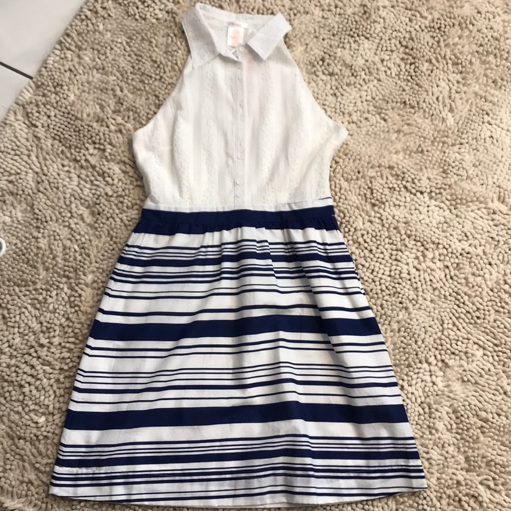 Knee-length, business-chic, white and blue dress