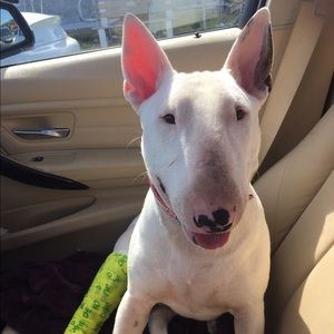 Meet your Posher, Krista