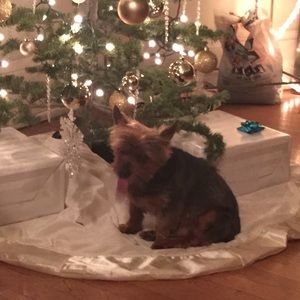 Meet your Posher, Sheena