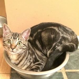 Meet your Posher, Kim