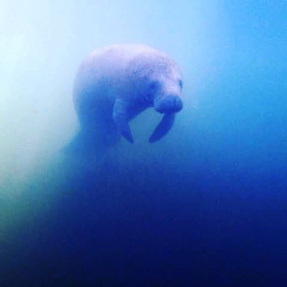 Meet your Posher, Kyle - Picture 1 of 1