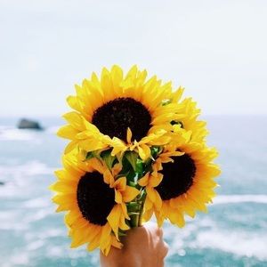 Meet your Posher, Ashlynn