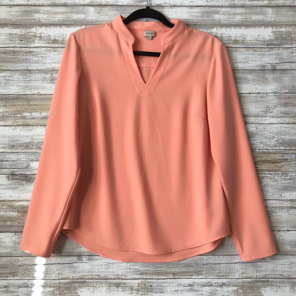 Cremieux Blouse